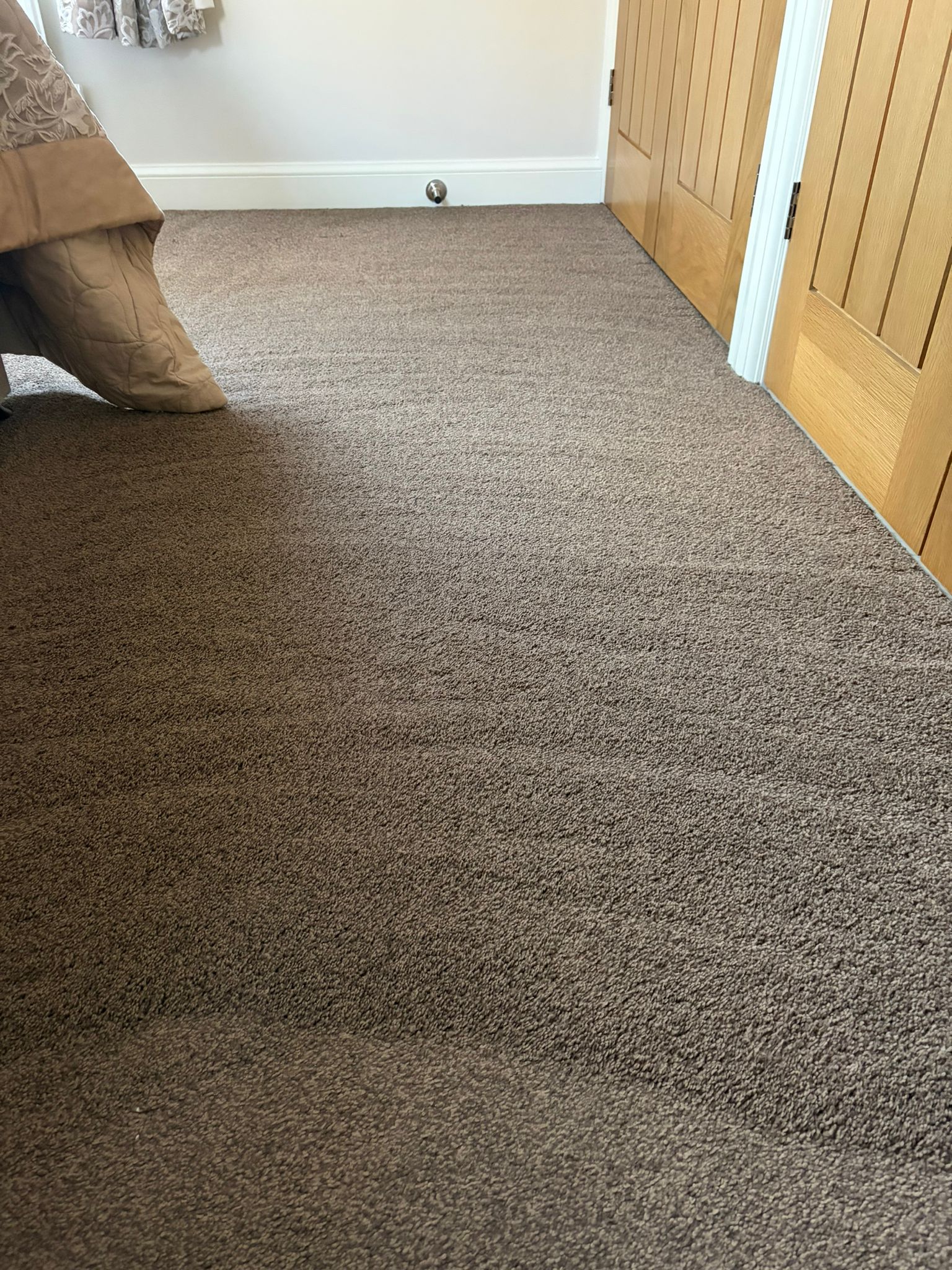 Freshly cleaned carpet
